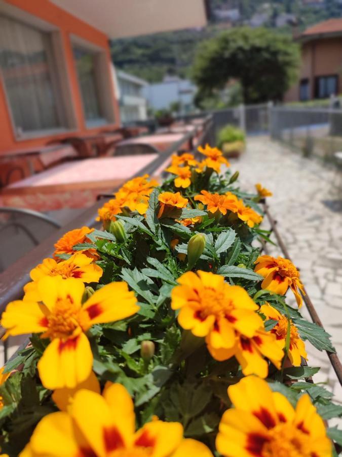 Albergo Villa Mimosa Torbole Sul Garda Εξωτερικό φωτογραφία