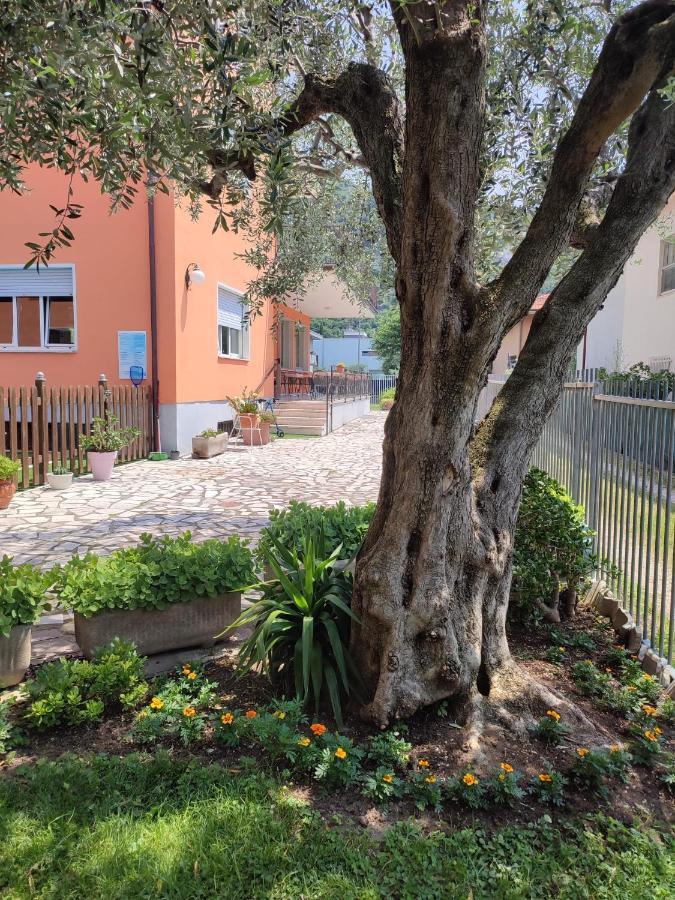 Albergo Villa Mimosa Torbole Sul Garda Εξωτερικό φωτογραφία